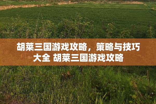胡莱三国游戏攻略，策略与技巧大全 胡莱三国游戏攻略