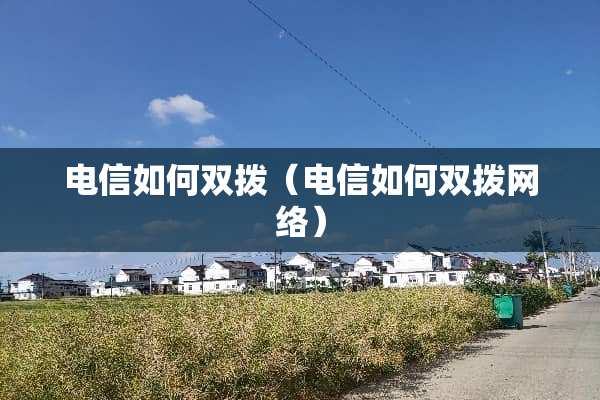 电信如何双拨（电信如何双拨网络）