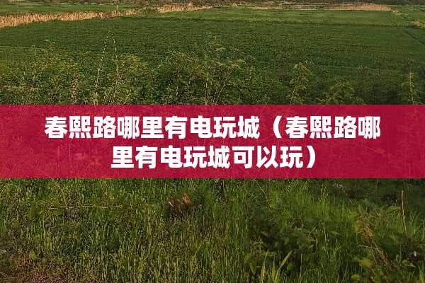 春熙路哪里有电玩城(春熙路哪里有电玩城可以玩)