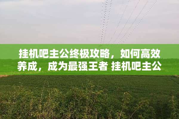 挂机吧主公终极攻略,如何高效养成,成为最强王者 挂机吧主公攻略 挂机吧主公终极攻略,如何高效养成,成为最强王者 挂机吧主公攻略