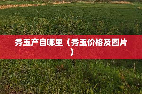 秀玉产自哪里(秀玉价格及图片) 秀玉产自哪里(秀玉价格及图片)