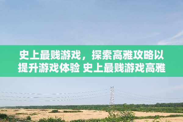 史上最贱游戏，探索高雅攻略以提升游戏体验 史上最贱游戏高雅攻略