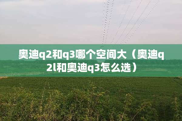 奥迪q2和q3哪个空间大(奥迪q2l和奥迪q3怎么选) 奥迪q2和q3哪个空间大(奥迪q2l和奥迪q3怎么选)