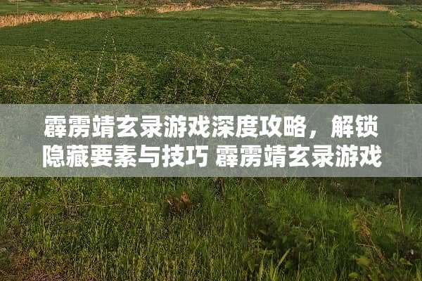 霹雳靖玄录游戏深度攻略,解锁隐藏要素与技巧 霹雳靖玄录游戏攻略 霹雳靖玄录游戏深度攻略,解锁隐藏要素与技巧 霹雳靖玄录游戏攻略