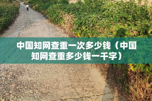中国知网查重一次多少钱(中国知网查重多少钱一千字) 中国知网查重一次多少钱(中国知网查重多少钱一千字)