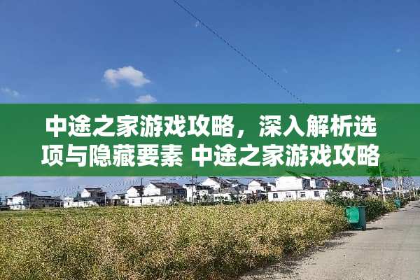 中途之家游戏攻略,深入解析选项与隐藏要素 中途之家游戏攻略选项 中途之家游戏攻略,深入解析选项与隐藏要素 中途之家游戏攻略选项