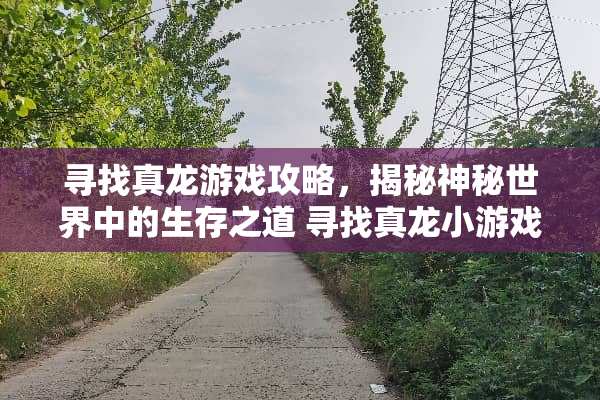 寻找真龙游戏攻略，揭秘神秘世界中的生存之道 寻找真龙小游戏攻略