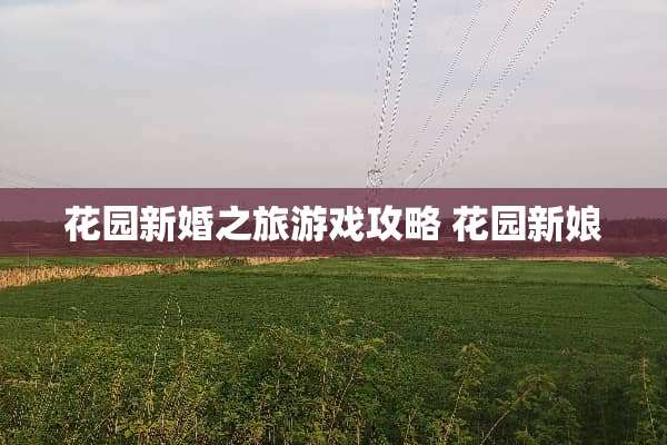 花园新婚之旅游戏攻略 花园新娘 花园新婚之旅游戏攻略 花园新娘