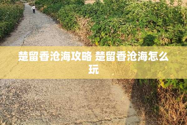 楚留香沧海攻略 楚留香沧海怎么玩 楚留香沧海攻略 楚留香沧海怎么玩