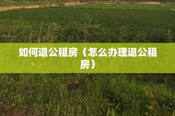 如何退公租房(怎么办理退公租房) 如何退公租房(怎么办理退公租房)