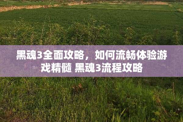 黑魂3全面攻略,如何流畅体验游戏精髓 黑魂3流程攻略 黑魂3全面攻略,如何流畅体验游戏精髓 黑魂3流程攻略