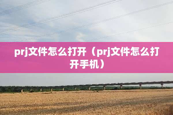 prj文件怎么打开（prj文件怎么打开手机）