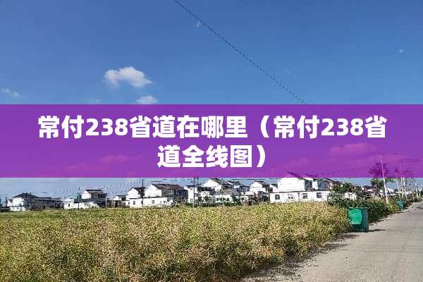 常付238省道在哪里（常付238省道全线图）