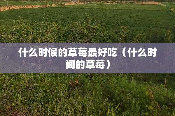 什么时候的草莓最好吃(什么时间的草莓) 什么时候的草莓最好吃(什么时间的草莓)