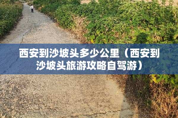 西安到沙坡头多少公里(西安到沙坡头旅游攻略自驾游)