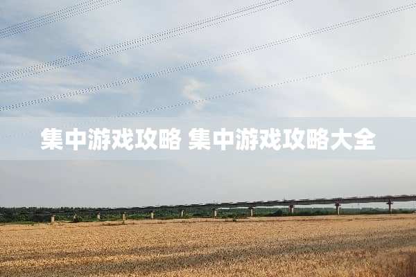 集中游戏攻略 集中游戏攻略大全