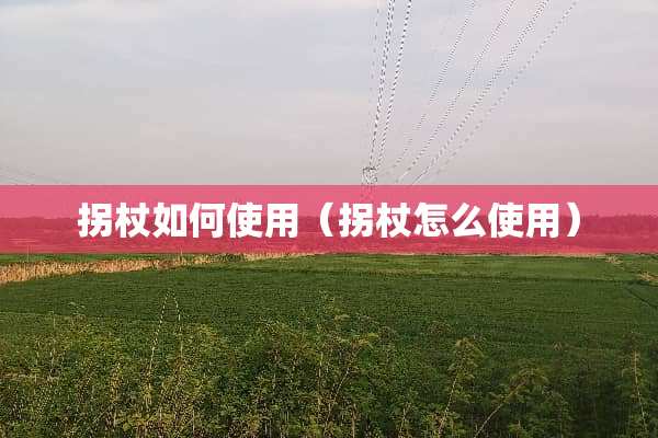 拐杖如何使用(拐杖怎么使用) 拐杖如何使用(拐杖怎么使用)