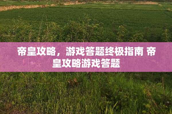 帝皇攻略,游戏答题终极指南 帝皇攻略游戏答题 帝皇攻略,游戏答题终极指南 帝皇攻略游戏答题