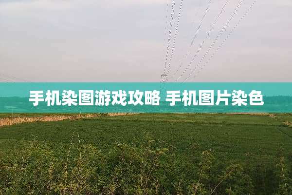 手机染图游戏攻略 手机图片染色 手机染图游戏攻略 手机图片染色