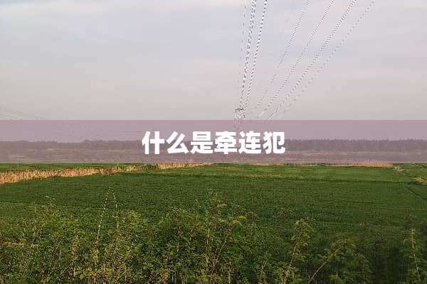 什么是牵连犯