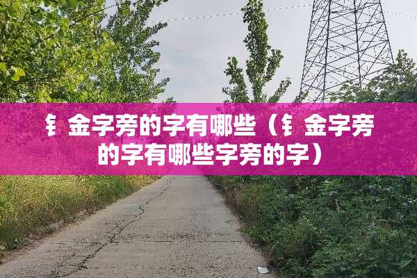 钅金字旁的字有哪些（钅金字旁的字有哪些字旁的字）