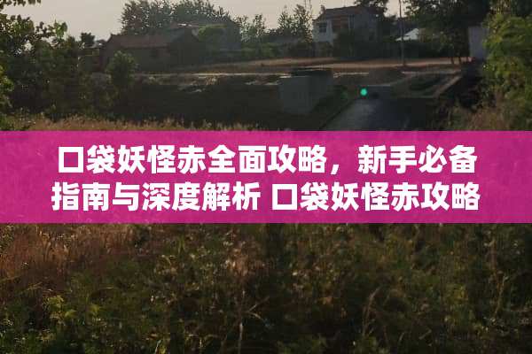 口袋妖怪赤全面攻略,新手必备指南与深度解析 口袋妖怪赤攻略 口袋妖怪赤全面攻略,新手必备指南与深度解析 口袋妖怪赤攻略