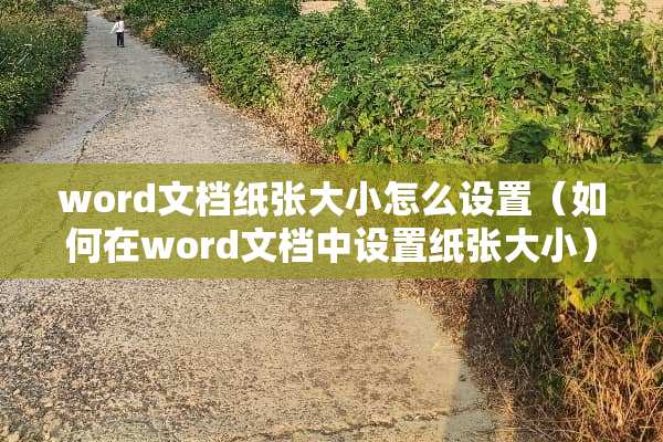 word文档纸张大小怎么设置（如何在word文档中设置纸张大小）