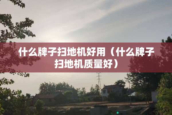 什么牌子扫地机好用（什么牌子扫地机质量好）