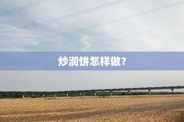 炒润饼怎样做？