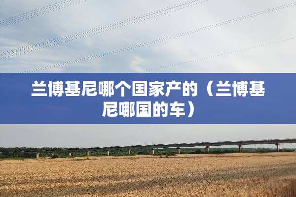 兰博基尼哪个国家产的(兰博基尼哪国的车) 兰博基尼哪个国家产的(兰博基尼哪国的车)
