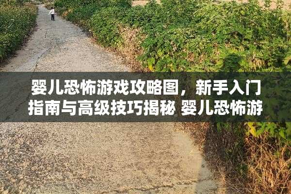 婴儿恐怖游戏攻略图，新手入门指南与高级技巧揭秘 婴儿恐怖游戏攻略图