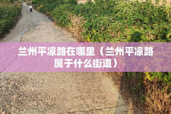 兰州平凉路在哪里（兰州平凉路属于什么街道）