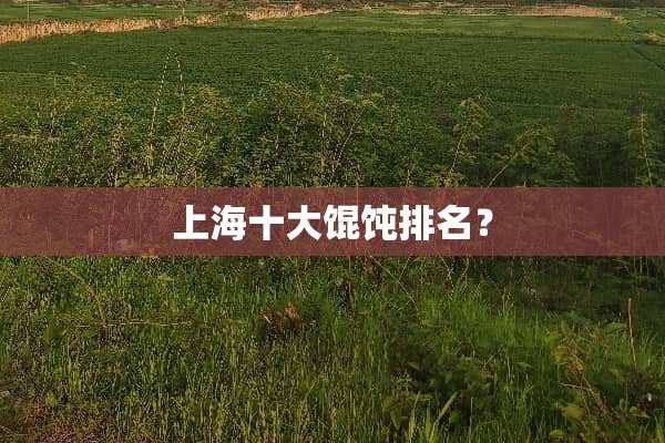 上海十大馄饨排名？