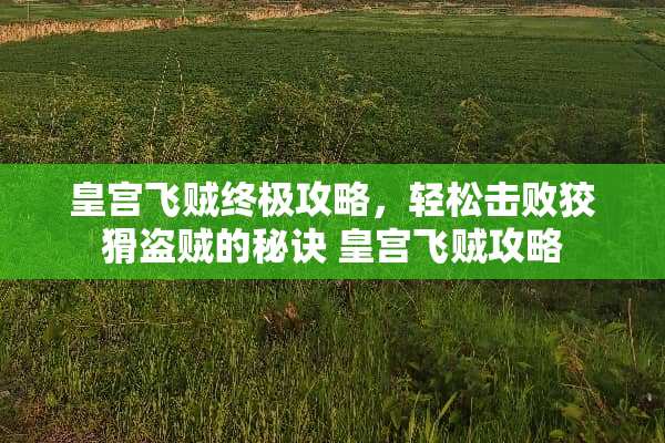 皇宫飞贼终极攻略,轻松击败狡猾盗贼的秘诀 皇宫飞贼攻略 皇宫飞贼终极攻略,轻松击败狡猾盗贼的秘诀 皇宫飞贼攻略