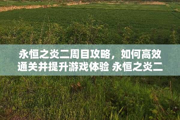 永恒之炎二周目攻略，如何高效通关并提升游戏体验 永恒之炎二周目攻略