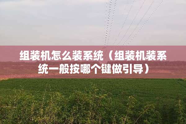 组装机怎么装系统(组装机装系统一般按哪个键做引导) 组装机怎么装系统(组装机装系统一般按哪个键做引导)