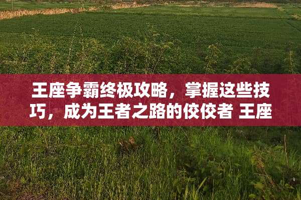 王座争霸终极攻略，掌握这些技巧，成为王者之路的佼佼者 王座争霸攻略