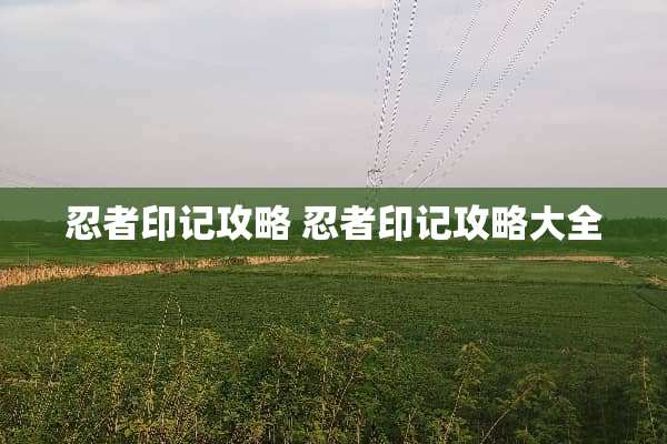 忍者印记攻略 忍者印记攻略大全 忍者印记攻略 忍者印记攻略大全