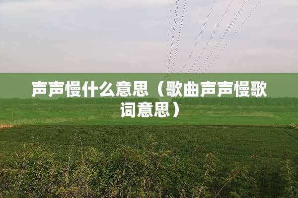 声声慢什么意思（歌曲声声慢歌词意思）