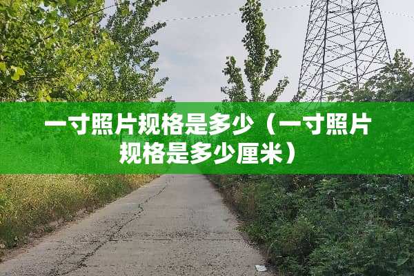 一寸照片规格是多少（一寸照片规格是多少厘米）