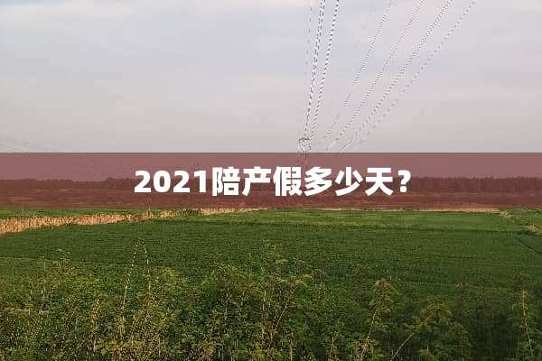 2021陪产假多少天？