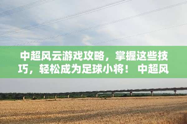 中超风云游戏攻略,掌握这些技巧,轻松成为**小将! 中超风云游戏攻略 中超风云游戏攻略,掌握这些技巧,轻松成为**小将! 中超风云游戏攻略