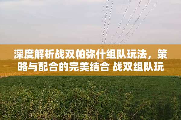 深度解析战双帕弥什组队玩法，策略与配合的完美结合 战双组队玩法