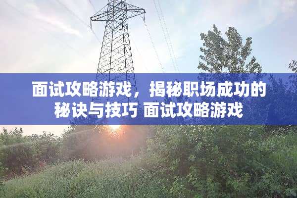 面试攻略游戏,揭秘职场成功的秘诀与技巧 面试攻略游戏