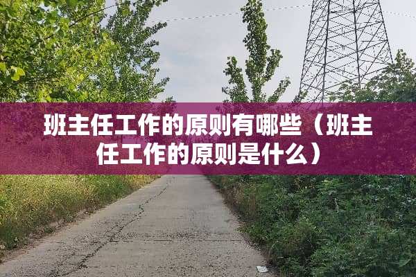 班主任工作的原则有哪些(班主任工作的原则是什么) 班主任工作的原则有哪些(班主任工作的原则是什么)