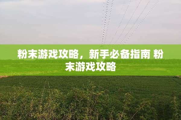 粉末游戏攻略,新手必备指南 粉末游戏攻略 粉末游戏攻略,新手必备指南 粉末游戏攻略