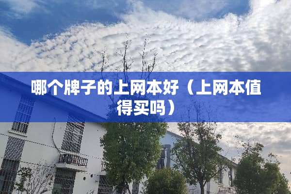 哪个牌子的上网本好(上网本值得买吗)