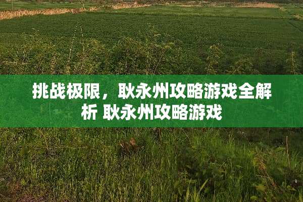 挑战极限,耿永州攻略游戏全解析 耿永州攻略游戏 挑战极限,耿永州攻略游戏全解析 耿永州攻略游戏