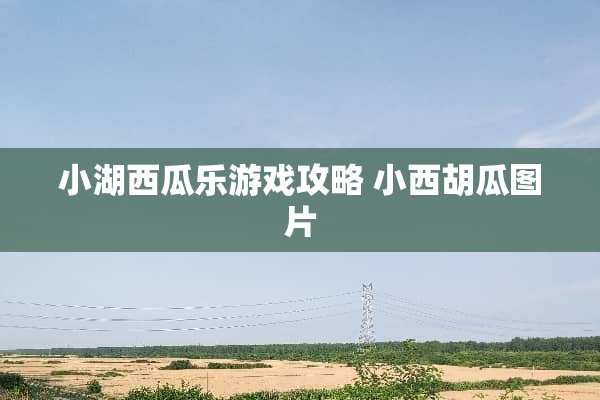 小湖西瓜乐游戏攻略 小西胡瓜图片