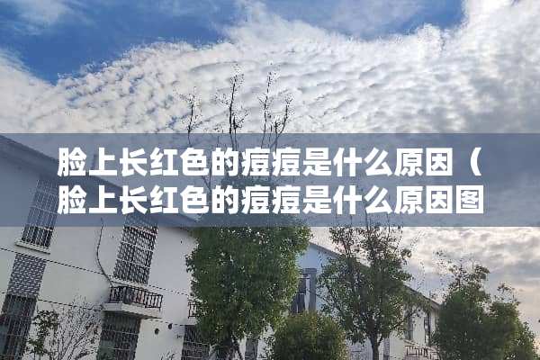 脸上长红色的痘痘是什么原因(脸上长红色的痘痘是什么原因图片) 脸上长红色的痘痘是什么原因(脸上长红色的痘痘是什么原因图片)